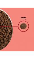 acana katems 4,5 kg - Acana Highest Protein Indoor Cat sausas maistas katėms 4,5 kg - 2 nuotrauka
