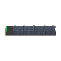 100 w saules panele - Schneider Electric PSP100 OffGrid Portable Solar Panel, 100W - 2 nuotrauka