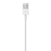 apple lightning i usb laidas - Apple cable Lightning - USB 2m | MD819ZM/A - 3 nuotrauka