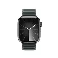 apple watch apyrankes 41mm - 41mm Evergreen Magnetic Link - M/L - MTJ63ZM/A - 2 nuotrauka