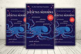 avys - Įveiktas nerimas: pirmiausia pabaisą paverskime gražuole - 2 nuotrauka