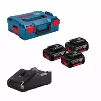 bosch 18v 5 0ah - Bosch 0615990L3T, 18 V, 3x5.0 Ah, Li-ion + GAL18V-40 - 2 nuotrauka