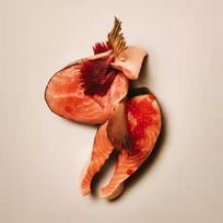 Carnilove True Fresh Cat Fish & Turkey Sterilised 6 kg