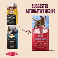 carnilove salmon adult - Carnilove Active Adult Salmon & Turkey 12 kg - 1 nuotrauka