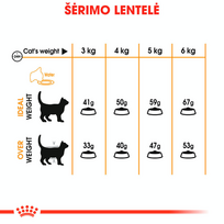 royal canin sausas maistas katems - Royal Canin Hair & Skin Care sausas maistas katėms 10 kg - 3 nuotrauka