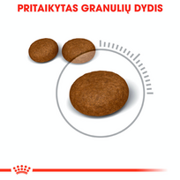 royal canin sausas maistas katems - Royal Canin Hair & Skin Care sausas maistas katėms 10 kg - 6 nuotrauka