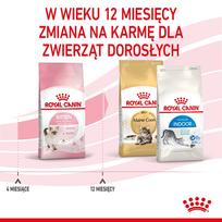 canin royal canin 10 kg - Royal Canin Kitten sausas maistas kačiukams 10 kg - 4 nuotrauka