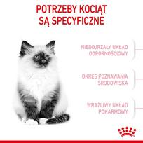 canin royal canin 10 kg - Royal Canin Kitten sausas maistas kačiukams 10 kg - 10 nuotrauka