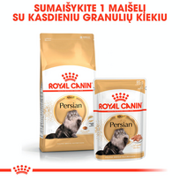 royal canin sausas maistas katems - Royal Canin Persian Adult sausas maistas katėms, 10 kg - 2 nuotrauka