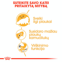 royal canin sausas maistas katems - Royal Canin Persian Adult sausas maistas katėms, 10 kg - 3 nuotrauka