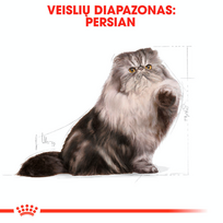 royal canin sausas maistas katems - Royal Canin Persian Adult sausas maistas katėms, 10 kg - 4 nuotrauka