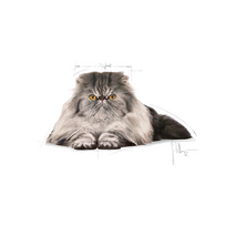 royal canin sausas maistas katems - Royal Canin Persian Adult sausas maistas katėms, 10 kg - 7 nuotrauka