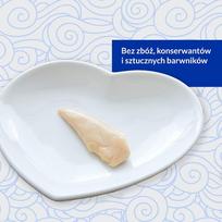 vistienos krutinele - Skanėstas katėms Inaba Churu Grilled, vištiena, 0.025 kg - 6 nuotrauka