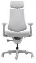 ergonomine biuro kede - Biuro kėdė LiberNovo Omni Dynamic, pilka (Gray) - 1 nuotrauka