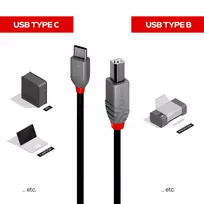 usb b c - CABLE USB2 C-B 3M/ANTHRA 36943 LINDY - 4 nuotrauka