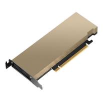 ddr6 - PNY NVIDIA L4 Module 24GB GDDR6 Graphics Card - 1 nuotrauka