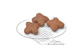 sausas maistas mazu veisliu sunims - Royal Canin Mini Ageing 12+ sausas maistas šunims, 1.5 kg - 2 nuotrauka