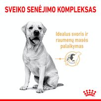 labrador retriever maistas - Sausas šunų maistas Royal Canin, ryžiai, 12 kg - 4 nuotrauka