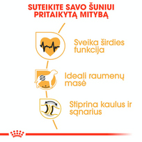rotveileris - Royal Canin Rottweiler Adult 12 kg - 5 nuotrauka
