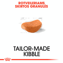 rotveileris - Royal Canin Rottweiler Adult 12 kg - 6 nuotrauka