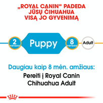 canin royal canin 10 kg - Royal Canin Chihuahua Junior 0,5 kg - 4 nuotrauka