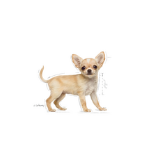 canin royal canin 10 kg - Royal Canin Chihuahua Junior 0,5 kg - 7 nuotrauka