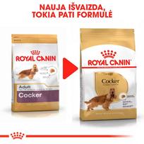 sunu maistas - Royal Canin BHN Cocker Adult 3kg - 2 nuotrauka