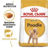 pudelis - Royal Canin Poodle Adult sausas maistas šunims, 1.5 kg - 2 nuotrauka