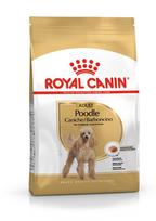 pudelis - Royal Canin Poodle Adult sausas maistas šunims, 1.5 kg - 3 nuotrauka