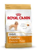 pudelis - Royal Canin Poodle Adult sausas maistas šunims, 1.5 kg - 4 nuotrauka
