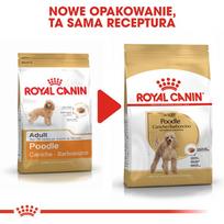 pudelis - Royal Canin Poodle Adult sausas maistas šunims, 1.5 kg - 5 nuotrauka