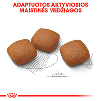 canin royal canin 10 kg - Sausas šunų maistas Royal Canin, 10 kg - 6 nuotrauka