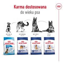 royal canin maxi adult - Royal Canin Maxi Adult 5  sausas maistas šunims, 15 kg - 3 nuotrauka