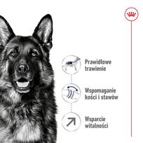 royal canin maxi adult - Royal Canin Maxi Adult 5  sausas maistas šunims, 15 kg - 6 nuotrauka
