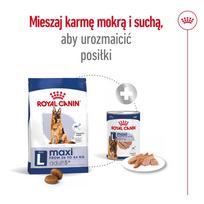 royal canin maxi adult - Royal Canin Maxi Adult 5  sausas maistas šunims, 15 kg - 7 nuotrauka