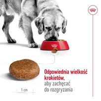 royal canin maxi adult - Royal Canin Maxi Adult 5  sausas maistas šunims, 15 kg - 8 nuotrauka