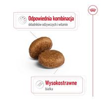 royal canin maxi adult - Royal Canin Maxi Adult 5  sausas maistas šunims, 15 kg - 9 nuotrauka