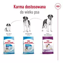 giantas - Royal Canin Giant Adult sausas pašaras šunims, 15 kg - 5 nuotrauka