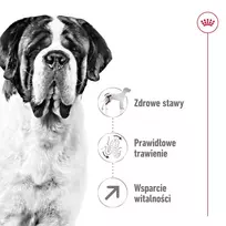 giantas - Royal Canin Giant Adult sausas pašaras šunims, 15 kg - 6 nuotrauka