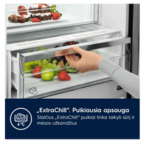 saldytuvai electrolux a - Electrolux ENC8MC18S - 5 nuotrauka