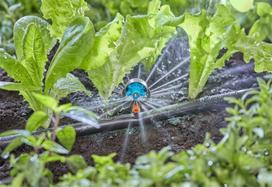 laistymo purkstukas - Sujungimas Gardena Micro Drip System 6 in 1 - 2 nuotrauka