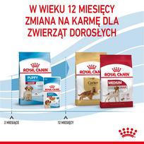 sunu maistas - Sausas Šunų Maistas - Royal Canin Medium Puppy 4 Kg Paukštiena - 2 nuotrauka