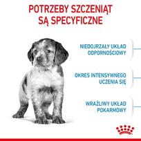 sunu maistas - Sausas Šunų Maistas - Royal Canin Medium Puppy 4 Kg Paukštiena - 10 nuotrauka