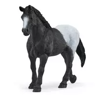 aptvaras - Rinkinys Schleich Horse Box 42611S, įvairių spalvų - 7 nuotrauka