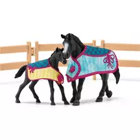 aptvaras - Rinkinys Schleich Horse Box 42611S, įvairių spalvų - 8 nuotrauka