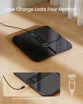 smart scale renpho - Renpho Elis Nova Juodas (Black) PEU-R-A031 - 12 nuotrauka