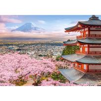 puzzle castorland - Castorland Spring in Japan 54282, 33 x 47 cm, 500 det. - 2 nuotrauka