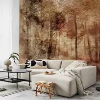 Fototapetas Artgeist Lost In The Woods, 280 cm x 400 cm