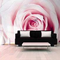 Fototapetas Artgeist Rose Maze XLNEW011205SAM, 175 cm x 245 cm