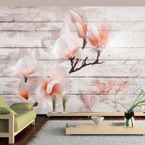 Fototapetas Artgeist Subtlety Of The Magnolia, 175 cm x 250 cm